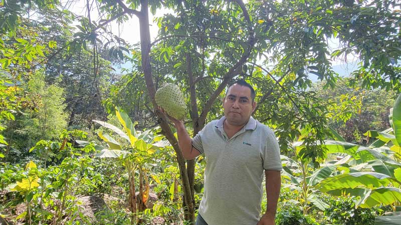 Policultivos agroforestales tradicionales en Tierra Colorada, Malinaltepec, Guerrero.