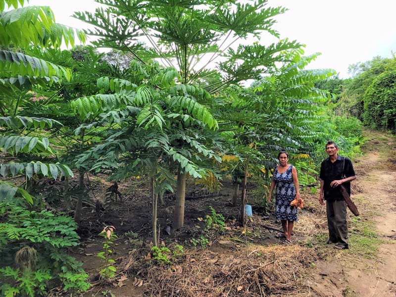 La agricultura tradicional y su multifuncionalidad. La Lima, Coyuca de Benítez, Guerrero