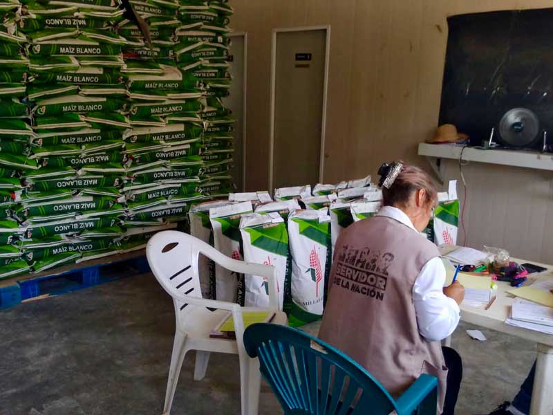 En 2019 y 2020 se entregaron en cada ejercicio, un promedio 275 mil bultos de semillas de maíz hibrido en el estado de Guerrero, como parte del paquete de innovación tecnológica que promueve el programa de Fertilizantes. Foto: Marcos Cortez.