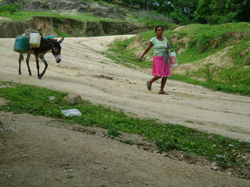 Escasez de agua en Guerrero