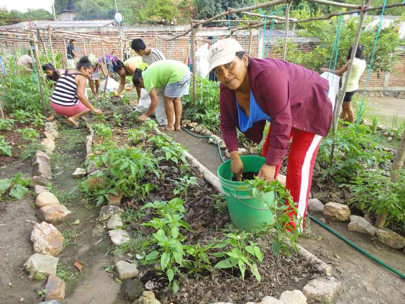 Mujeres, hombres, jóvenes y niños de las comunidades de La Lima y El Papayito, trabajan Huertos Integrales Sustentables, una alternativa para generar alimentos frescos, vivos y nutritivos a nivel local. Octubre de 2015. Foto: Marcos Cortez.