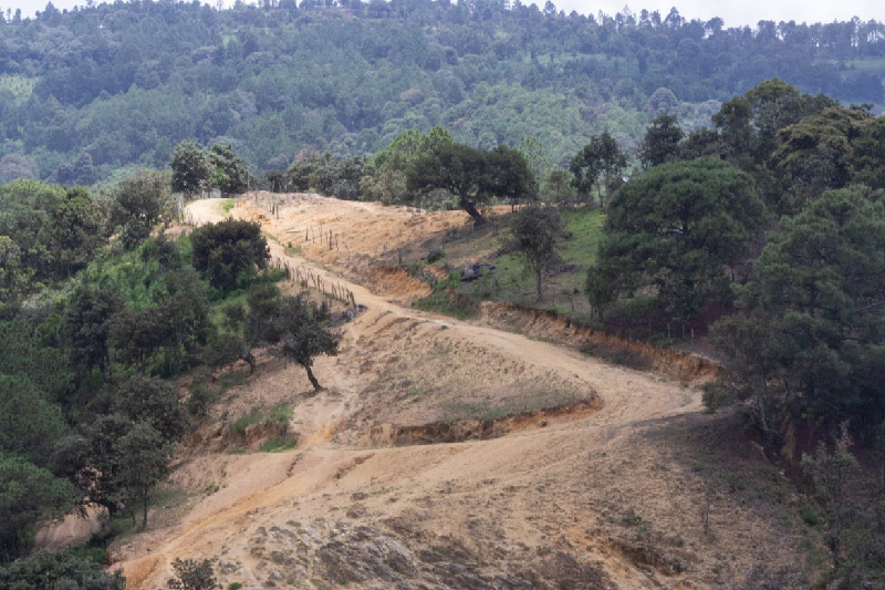 Sendero del pueblo de Duraznal en la Montaña de Guerrero.