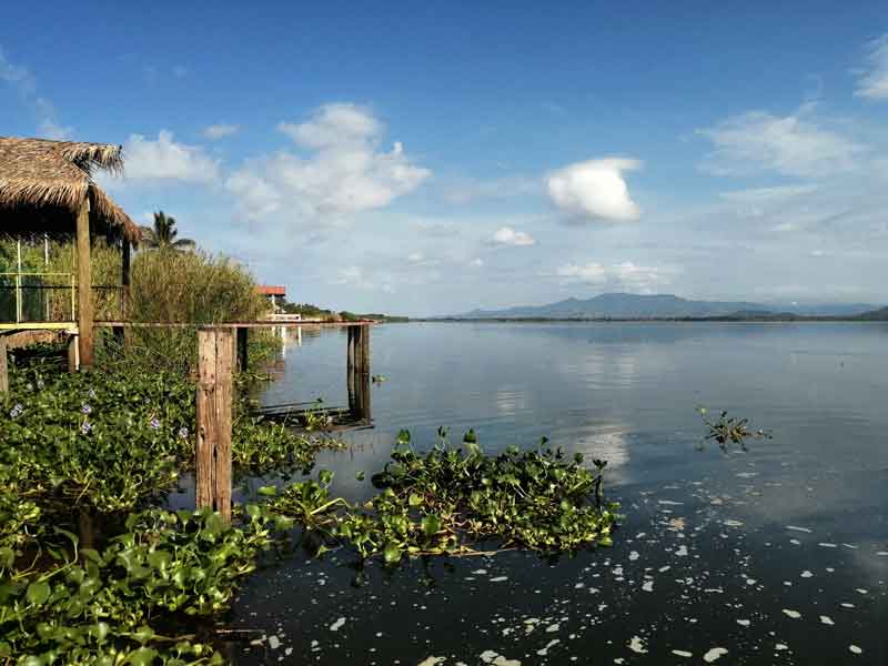 Laguna de Coyuca