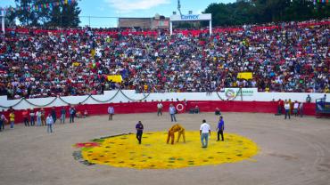 Sobre la Feria de San Mateo