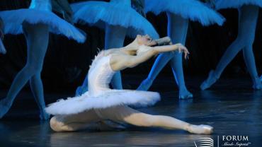 Lago de los Cisnes
