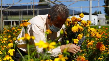 Floricultores